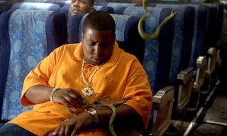 Snakes on a Plane still 7