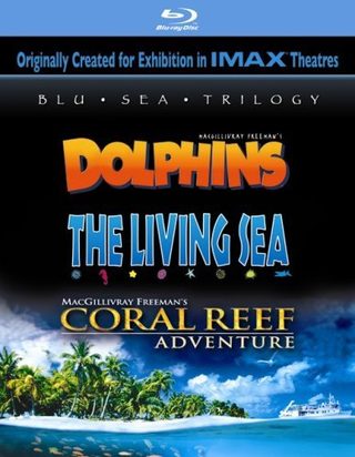 Coral Reef Adventure still 3