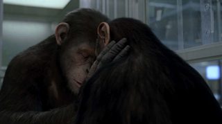 Rise of the Planet of the Apes still 4