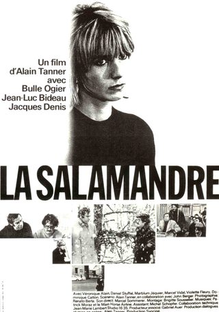 The Salamander still 1