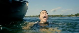 Bull Shark still 8