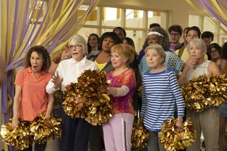 Poms still 2