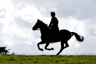 War Horse still 5