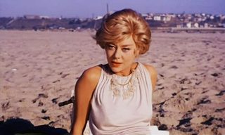 The Chapman Report still 8