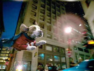 Underdog still 3