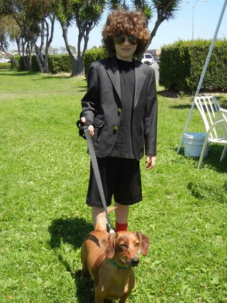 Wiener Dog Nationals still 3