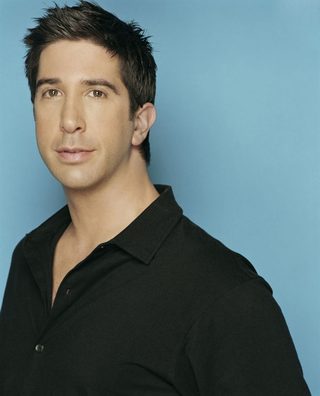 David Schwimmer