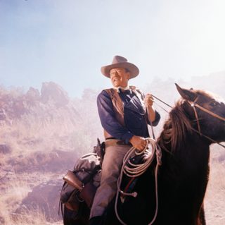 The Sons of Katie Elder still 4