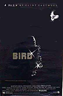 Bird still 2
