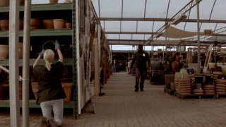 Calla Lily still 6