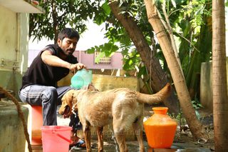 Velaiyilla Pattathari still 1