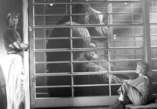 Mighty Joe Young still 6