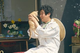 The Travelling Cat Chronicles still 4