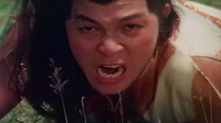 Killer of Snake, Fox of Shaolin still 3