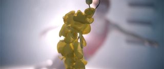 Upstream Color still 3