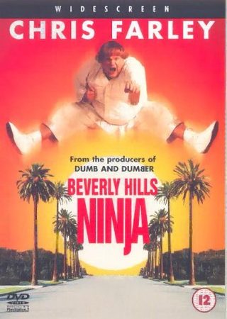 Beverly Hills Ninja still 7