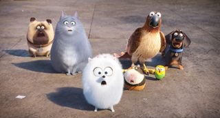 The Secret Life of Pets still 8