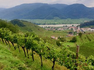 Terroir To Table: Wine Lovers' Guide to Food and Wine still 8