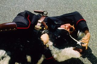 Me, Myself & Irene still 8
