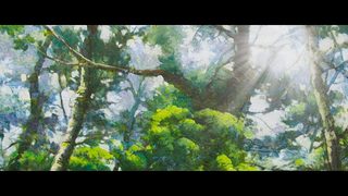 Canola still 6