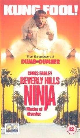 Beverly Hills Ninja still 6