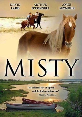 Misty still 6