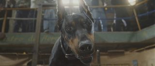 Beverly Hills Chihuahua still 6