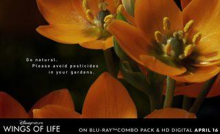Wings of Life still 8