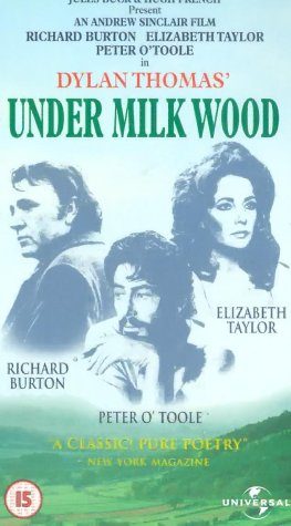 Under Milk Wood still 2
