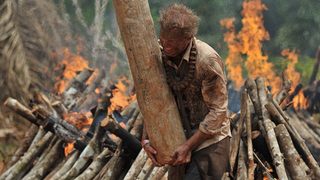 The Jungle still 4