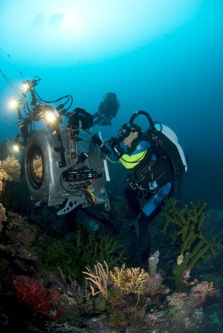 Under the Sea 3D still 1
