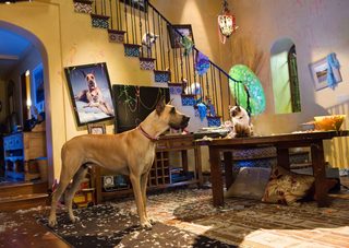 Marmaduke still 8