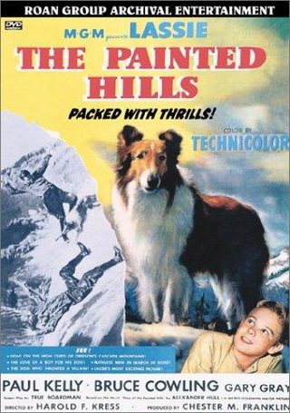 The Painted Hills still 8