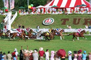 Racing Stripes still 8