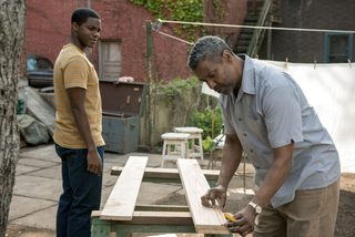 Fences still 7
