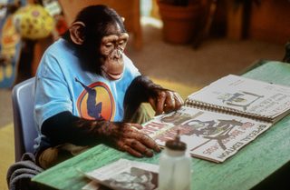 MXP: Most Xtreme Primate still 5