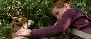 The Fox and the Child still 8