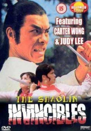 Shaolin Invincibles still 4