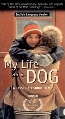 My Life as a Dog still 8