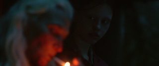 The Survivalist still 4