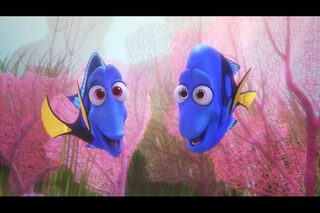 Finding Dory still 5