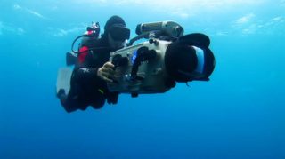 Sharkwater still 2