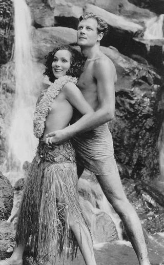 Bird of Paradise still 8