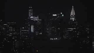 Cicada still 8