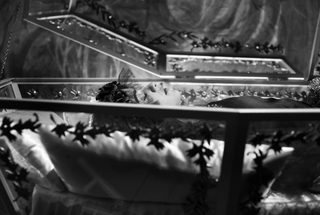 Blancanieves still 7