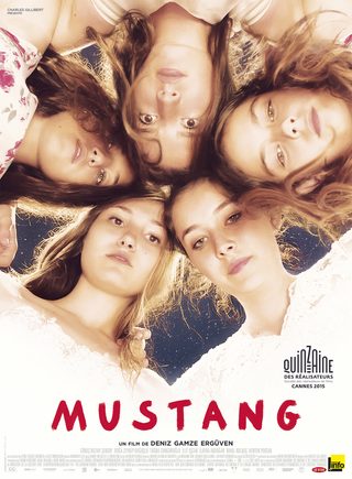 Mustang still 7