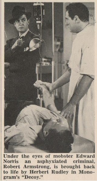 Decoy still 5
