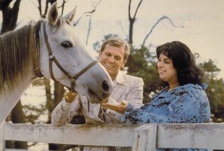 Polyester still 1