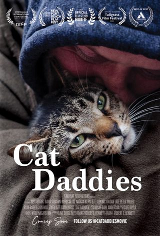 Cat Daddies still 4