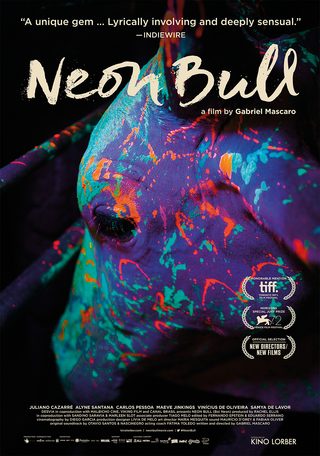 Neon Bull still 3